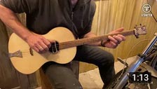 Video Parlor Guitar by 3Saiter