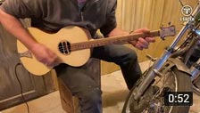 Video Parlor Guitar by 3Saiter